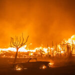 Los Angeles Wildfires