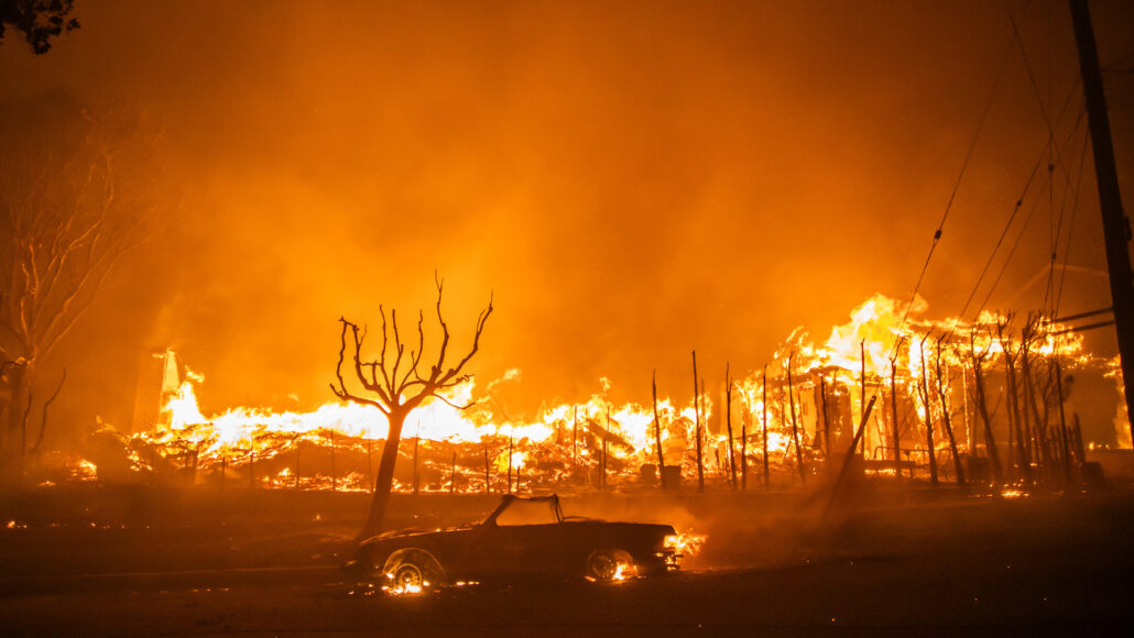 Los Angeles Wildfires