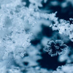 Snowflake Hikes Annual Revenue Forecast on Strong AI Growth