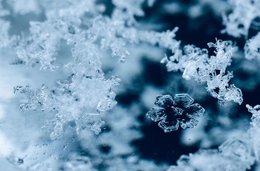 Snowflake Hikes Annual Revenue Forecast on Strong AI Growth